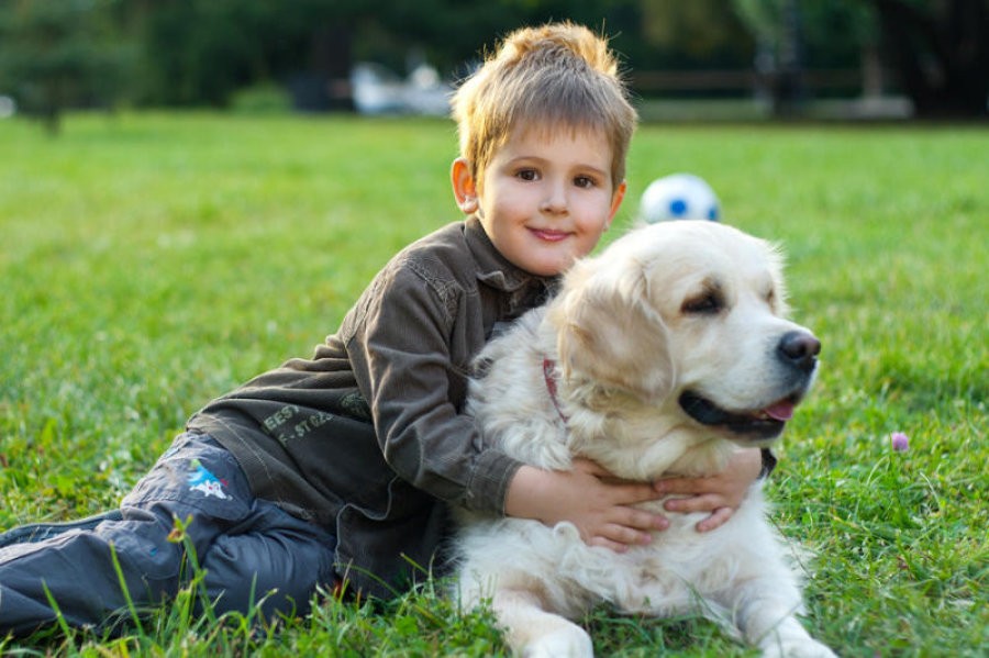 boy laying in grass with dog